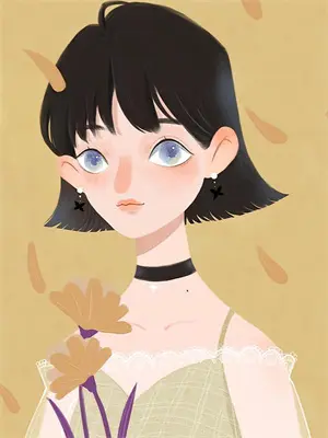 宝可梦dx